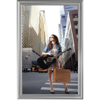 24" x 36" Decorative Snap Poster Frame, Silver - Braeside Displays