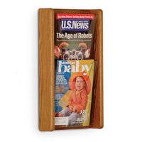 2 POCKET SLANTED MAGAZINE WALL RACK - Braeside Displays